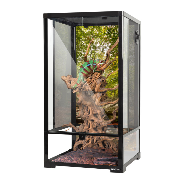 REPTIZOO Reptile Glass Terrarium With Double Hinge Door 16" X 16" X 30"（33 Gallon) & Reviews